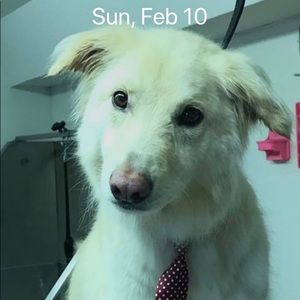 Meet your Posher, Leslie